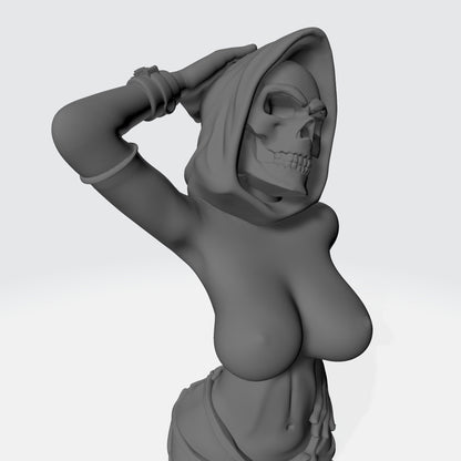 Lady Skeletor – NSFW 3D Printed – Fanart – DIY Kit – Unpainted