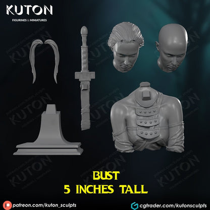 Luis Royo BUST 3d printed Resin Figure Model Kit miniatures scale models Fun Art by KUTON Collectibles