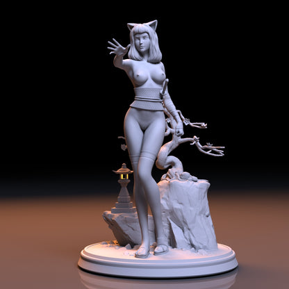 Samurai girl NSFW 3D Printed Miniature Fanart Unpainted
