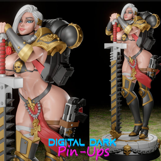 Sister of Battle Resin model kit Unpainted 3d Printed