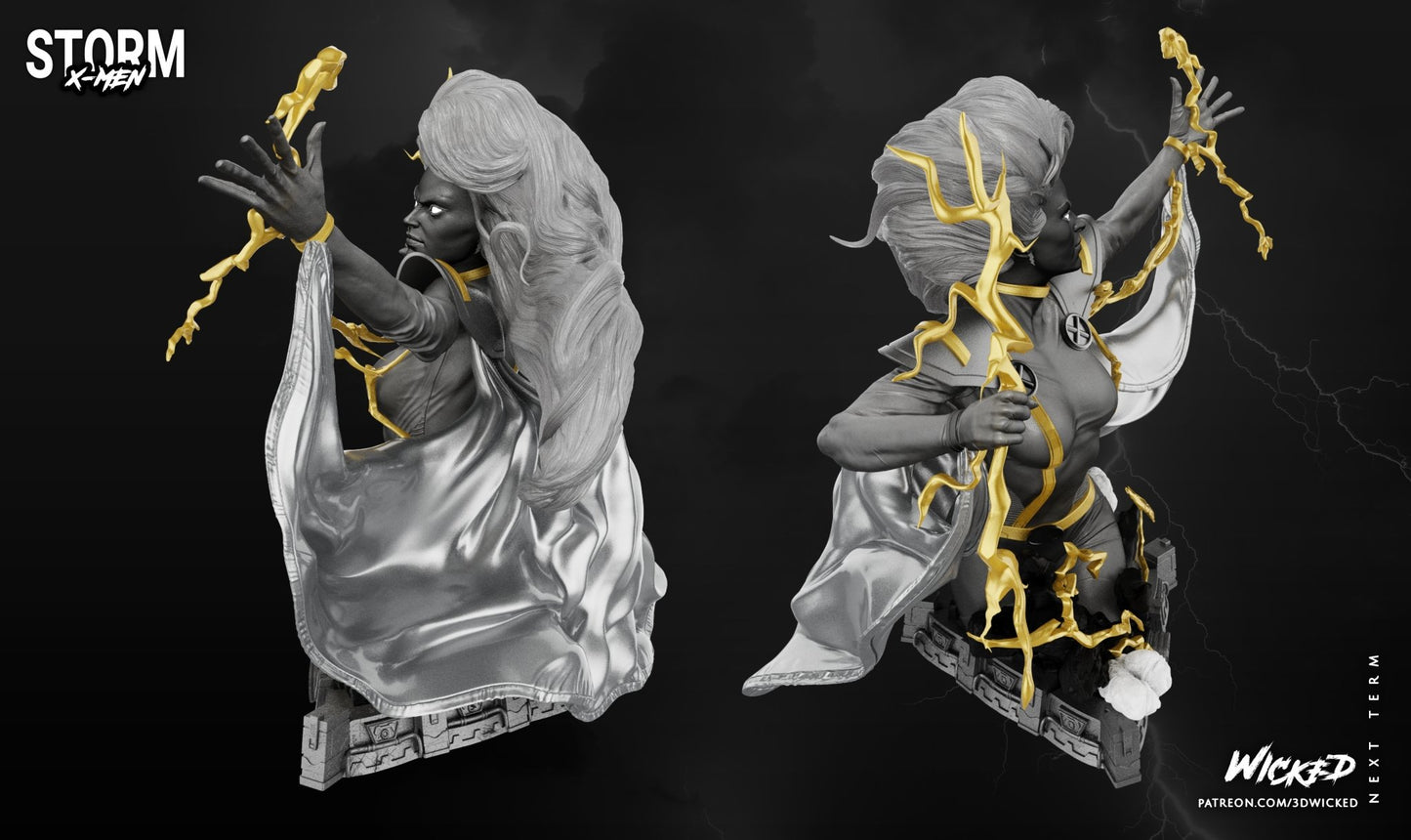 Storm BUST 3D Printed Figurine FunArt Collectable by Wicked UNPAINTED GARAGE KIT